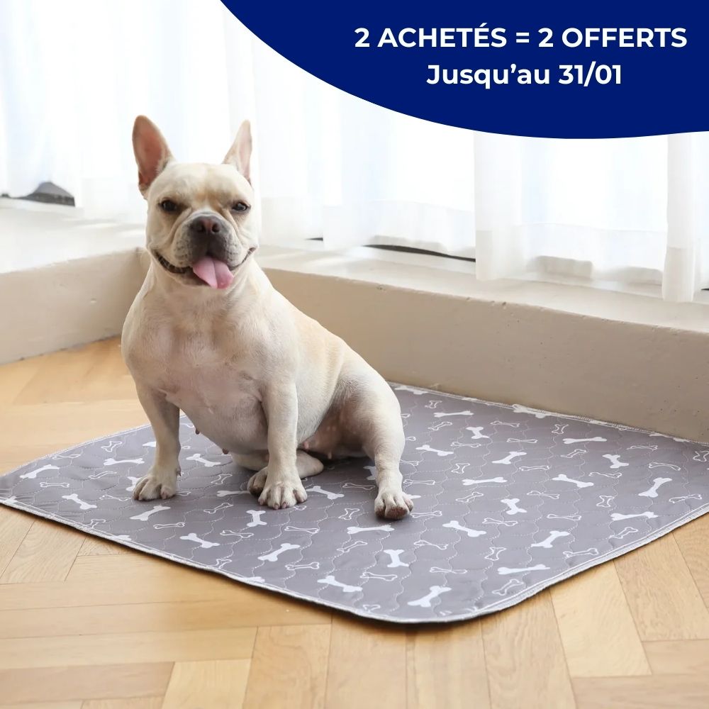 PipiPad™ - Le tapis propreté qui marche dès le jour 1