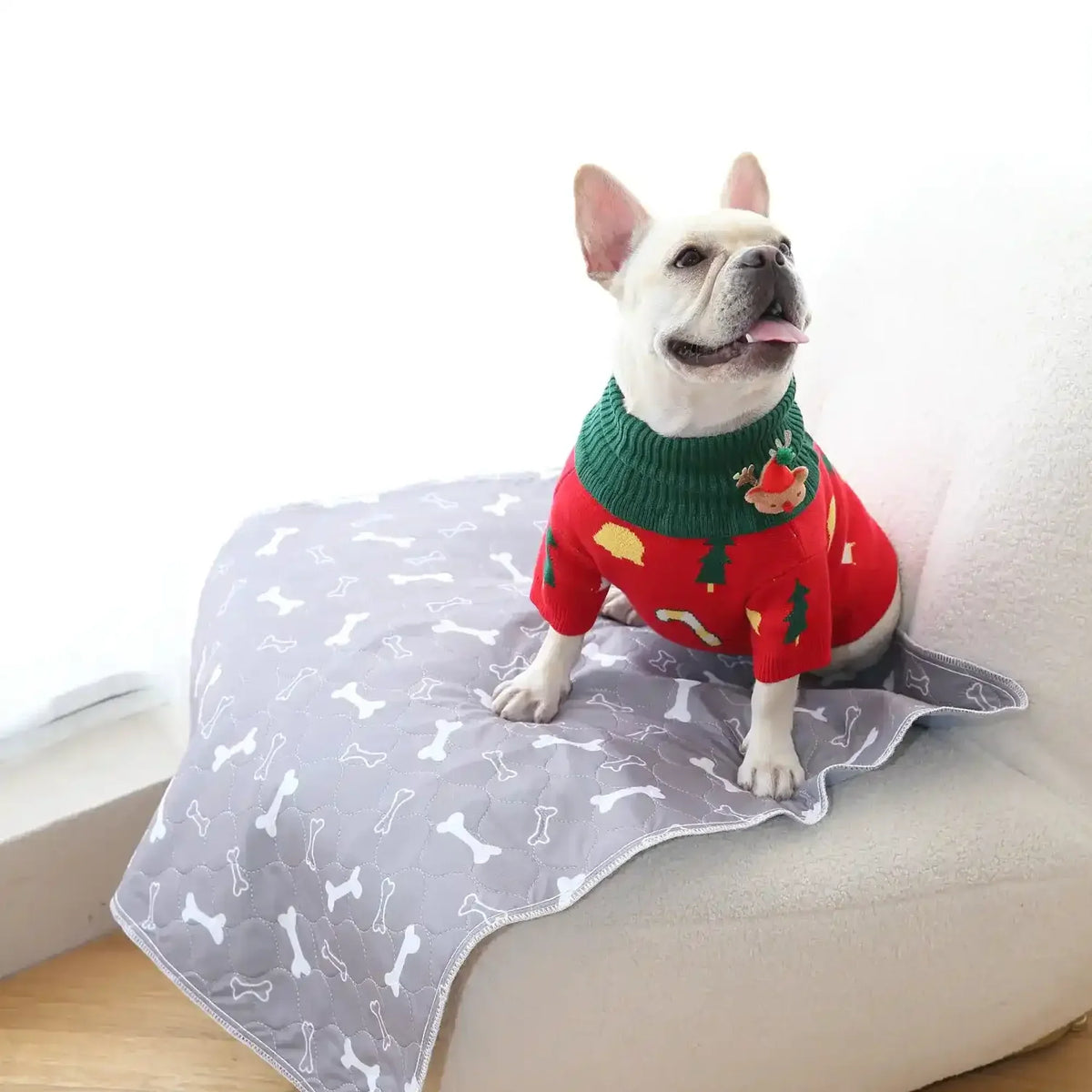 PipiPad™ - Le tapis propreté qui marche dès le jour 1